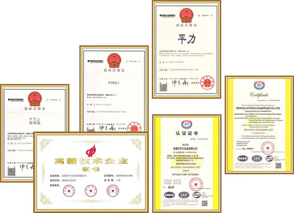 Pingli Qualification Certificate